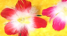 ����{�A�H��5���i��j�ڂ�������