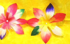 �H���i����j�ڂ�������