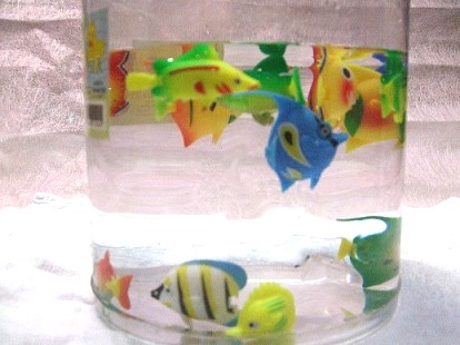 �o���G�e�B�M�ы�������50��