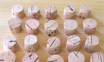 �˓I��p�R���N20��