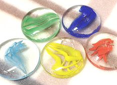 �΂����i�K���X���j5��