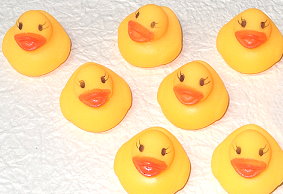 �������A�q���i���j100��